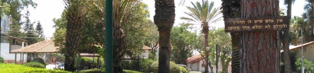 אולפנת בהרן