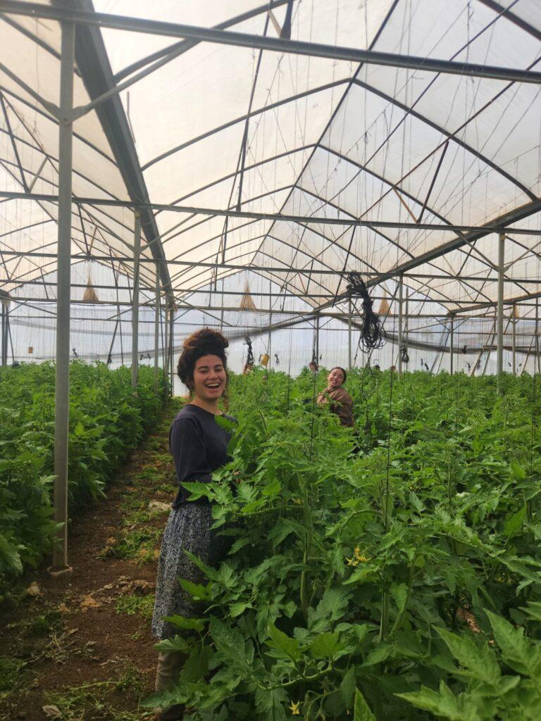 אולפנת רגבים גוש עציון