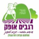 אולפנת רגבים אופק - נוב